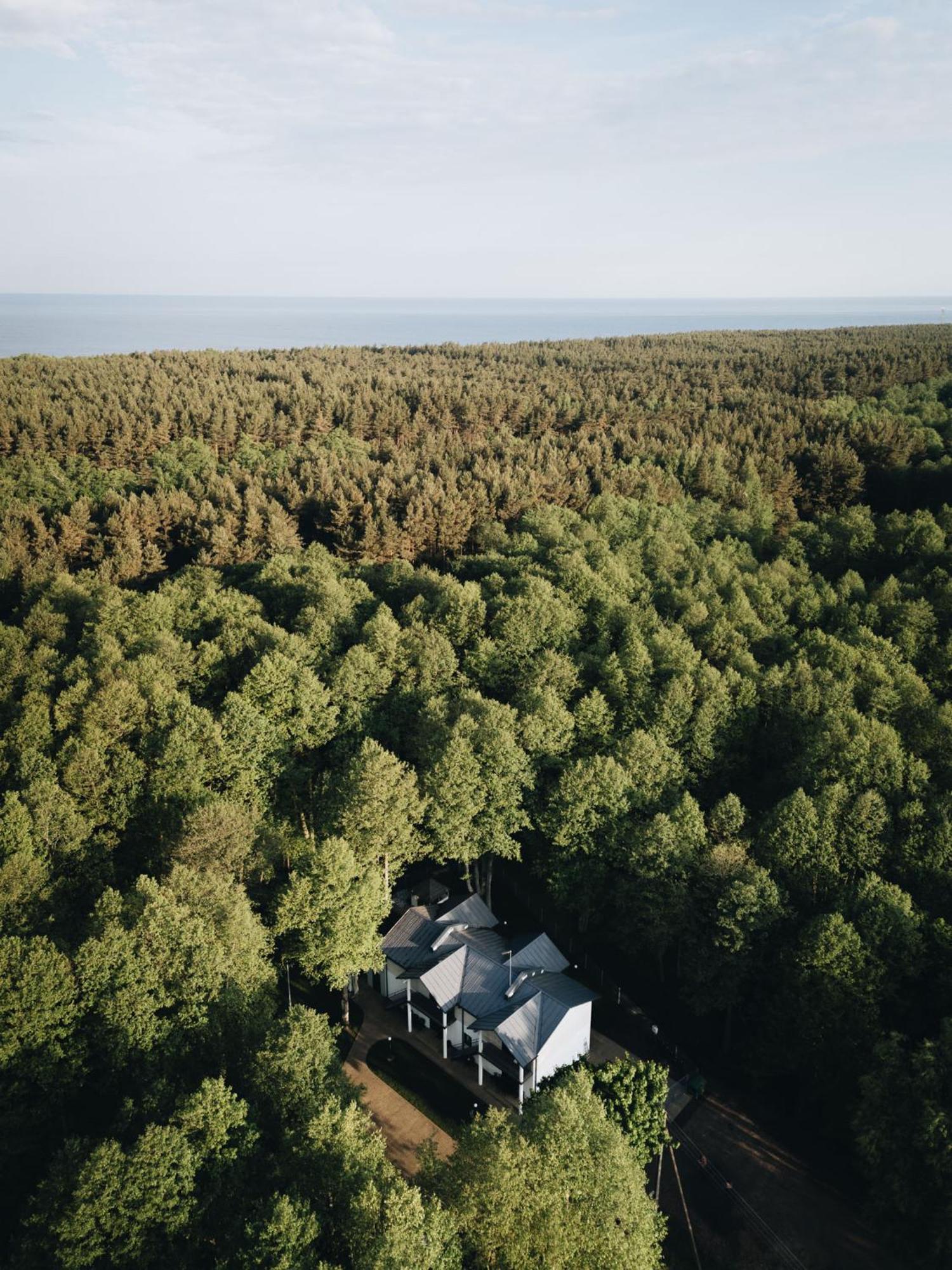 Nemirseta Forest Apartments パランガ エクステリア 写真